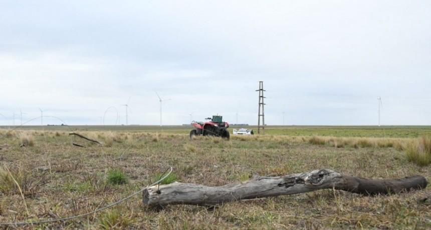 Robacables: condenan al subcomisario &Ntilde;ancucheo y "El Harry" Gallardo