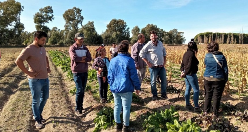 ???? ??&rdquo;????? ??? ???????&ldquo;?