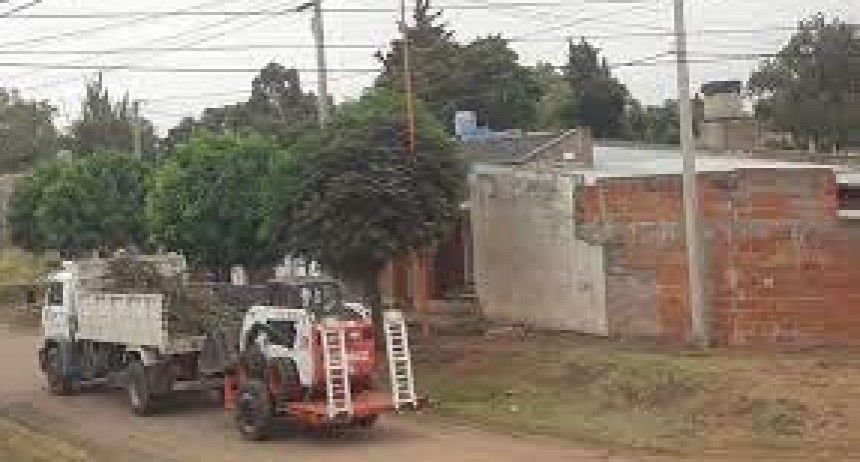 Recoleccion de reciduos Voluminosos