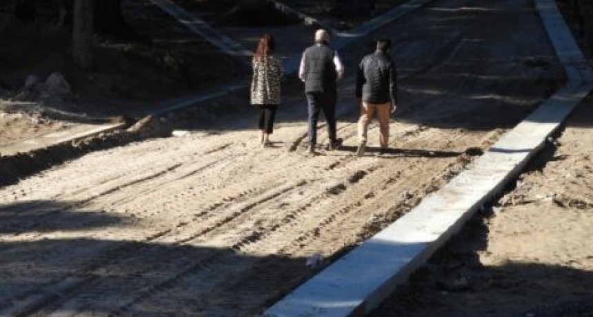 Con fondos de nacion colocan articulado en el parque San Martin