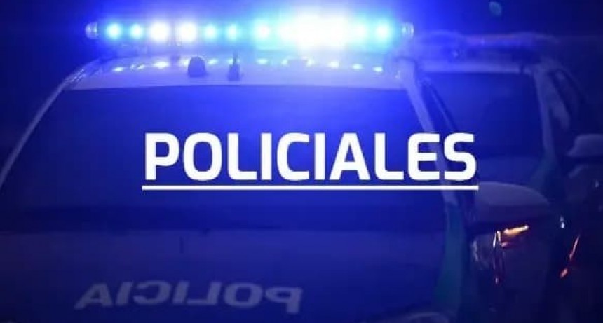 RESUMEN DE ACTIVIDAD POLICIAL POR DELITOS EN LA CIUDAD