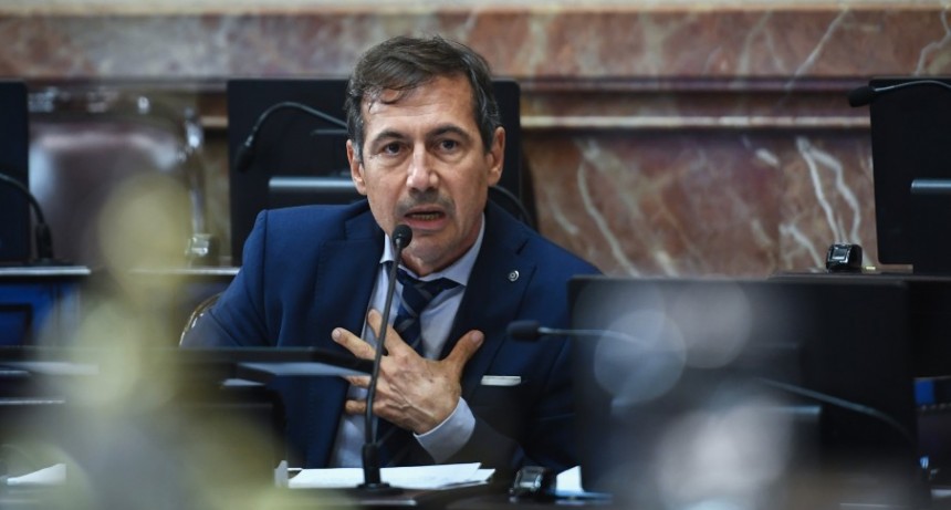 En el radicalismo afirman que Patricia le ofreci&oacute; la candidatura a vice a Naidenoff