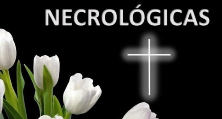 ULTIMOS SERVICIOS EN LA CIUDAD