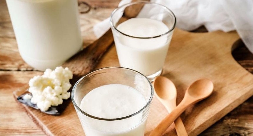 LA IMPORTANCIA DE CONSUMIR PROBIOTICOS