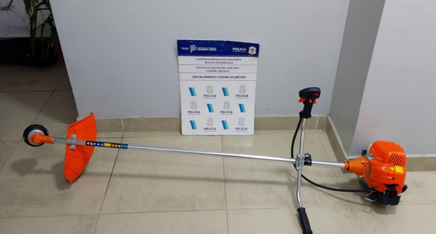 APREHENDIDO POR VIOLACION DE DOMICILIO Y HURTO  