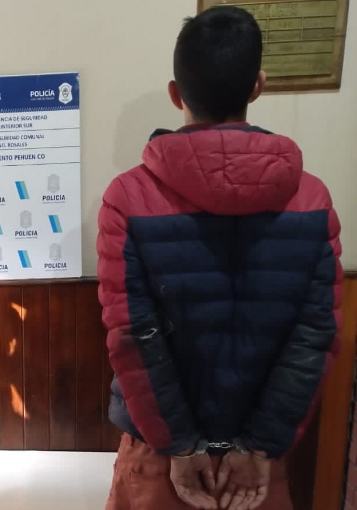 Masculino de 29 a&ntilde;os detenido por estafas