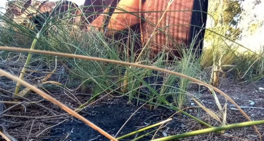 Reabren la investigaci&oacute;n del caso de los 300 barriles oxidados con petr&oacute;leo enterrados