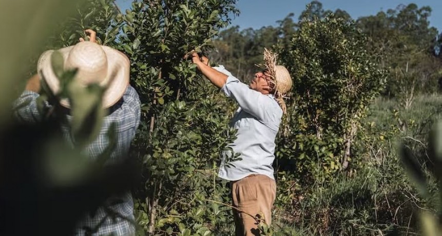 Advierten que la mayor&iacute;a de las econom&iacute;as regionales est&aacute; en crisis y con los n&uacute;meros en rojo