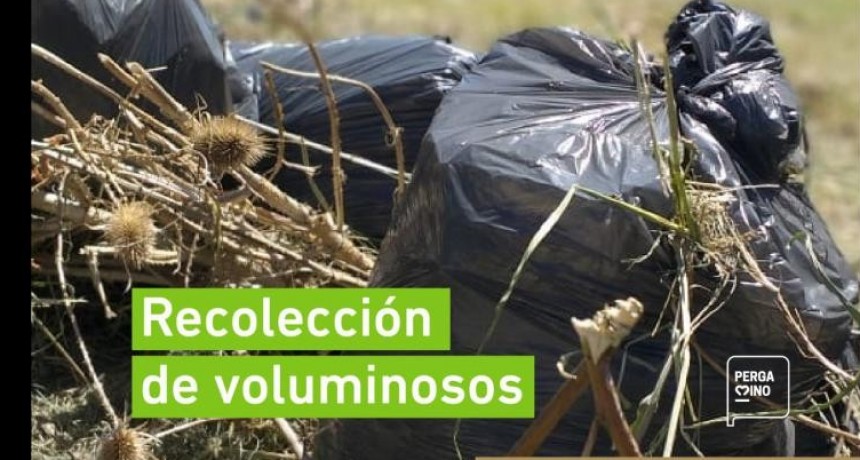 Inici&oacute; el cronograma de recolecci&oacute;n de voluminosos del mes de julio 