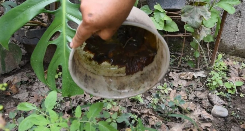 Continuidad en la Campa&ntilde;a contra el Dengue