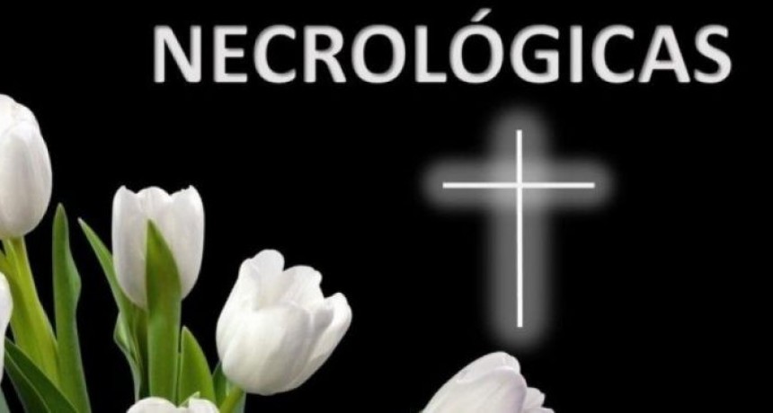 Ultimos servicios en la ciudad