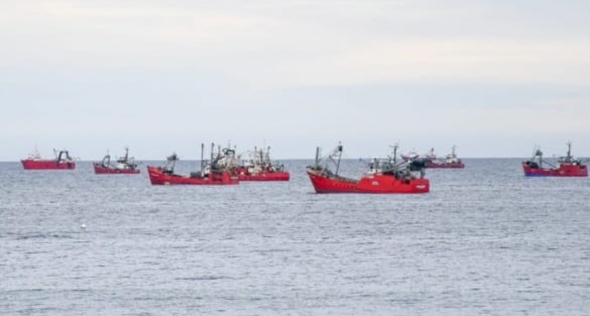 Unos 50 barcos se encuentran frente a las costas de Madryn.