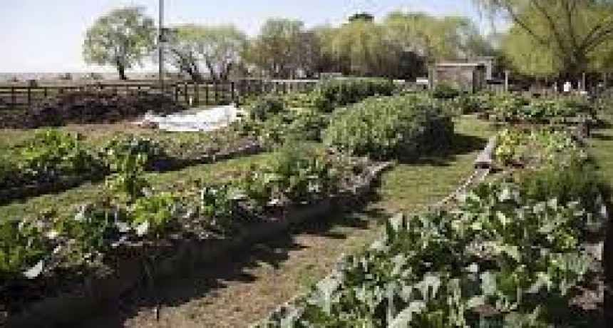 Investigan muerte de un hombre en una quinta de Villarino Viejo