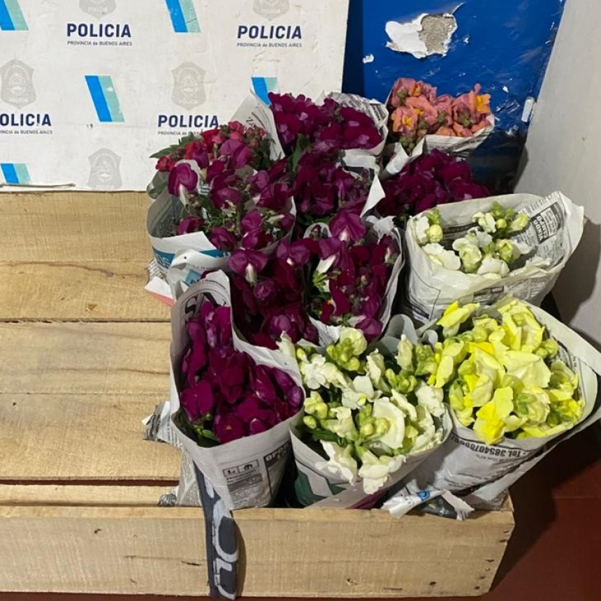 Resumen de actuacion policial