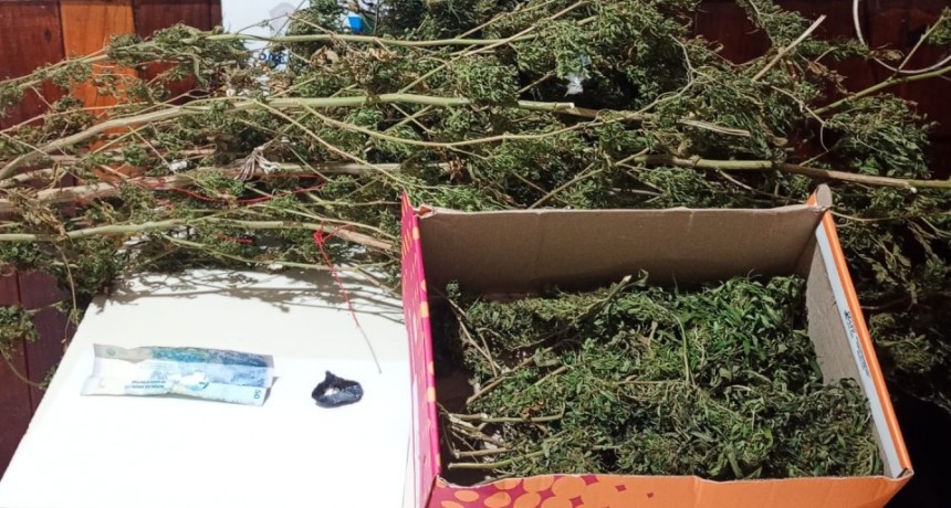 Detenido en Pehuenco