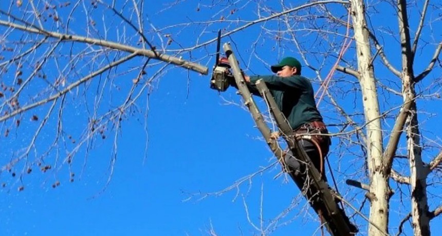 Finaliz&oacute; el per&iacute;odo de poda habilitado para frentistas