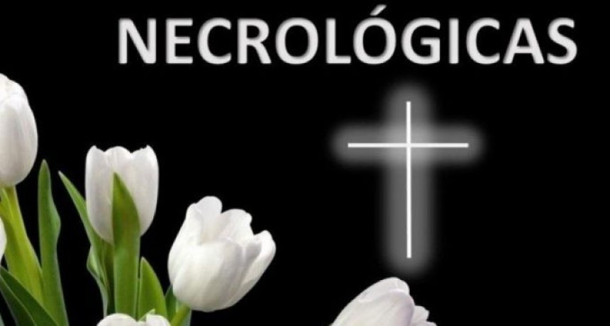 Ultimos servicios en la ciudad