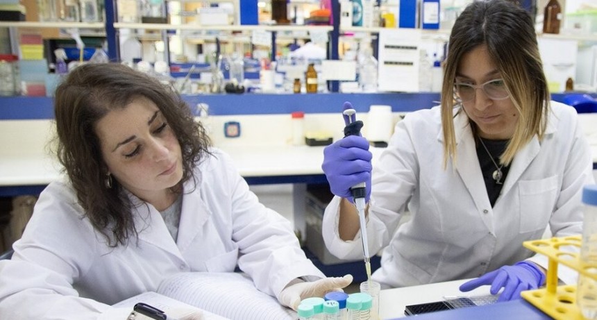 Cient&iacute;ficas hallan una planta capaz de tratar distintos tipos de c&aacute;ncer