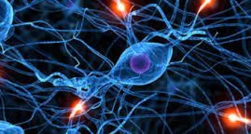 Salud: Serotonina &iquest;que es y c&oacute;mo funciona?