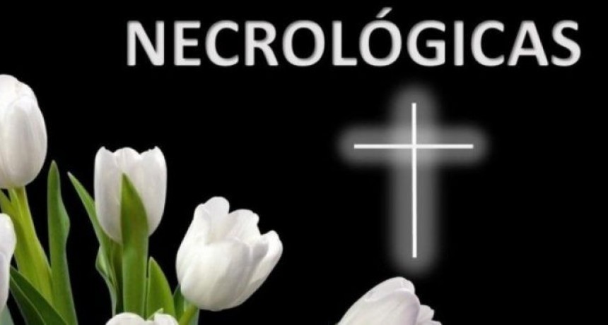 Ultimos servicios en la ciudad