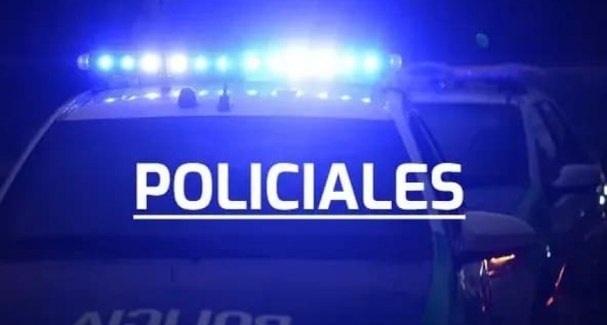 Robo a mano Armada y Detencion por da&ntilde;os en gresca vecinal