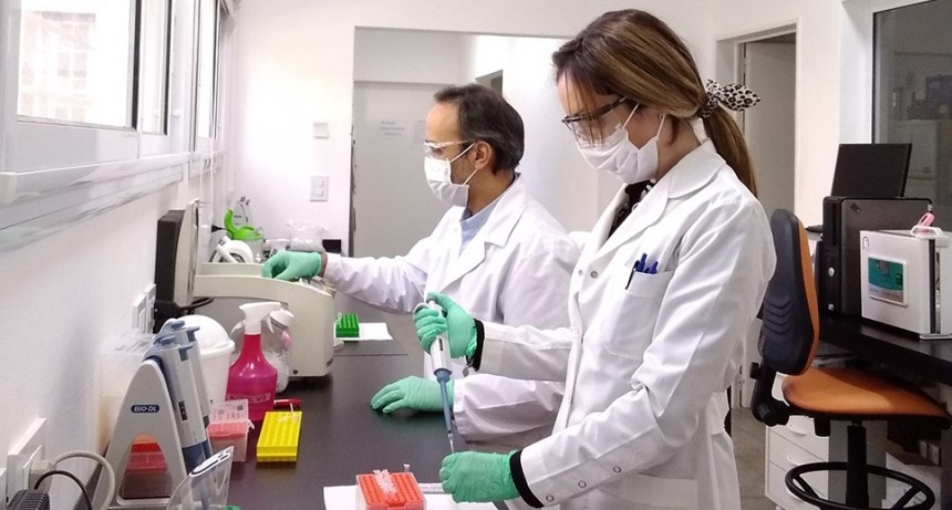 Delirios del Mariscal: El plan de gobierno de Milei propone un ajuste extremo de 15 puntos del PBI y cerrar todas las empresas p&uacute;blicas