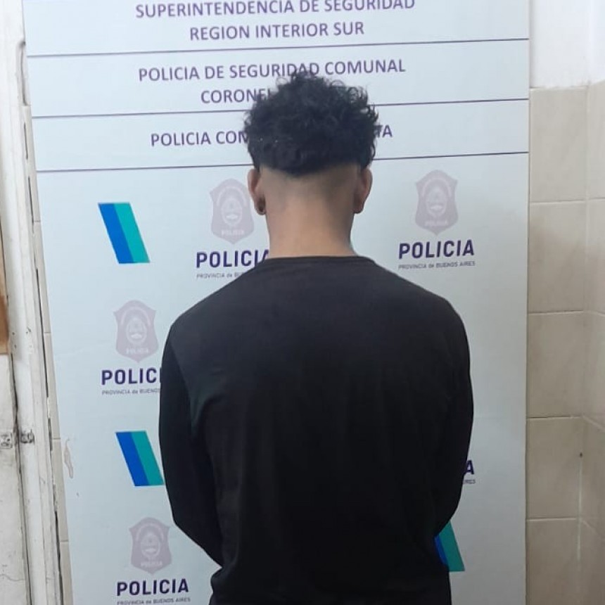 Aprehendido por atentado y resistencia a la autoridad, lesiones e infracci&oacute;n a la Ley 24.449