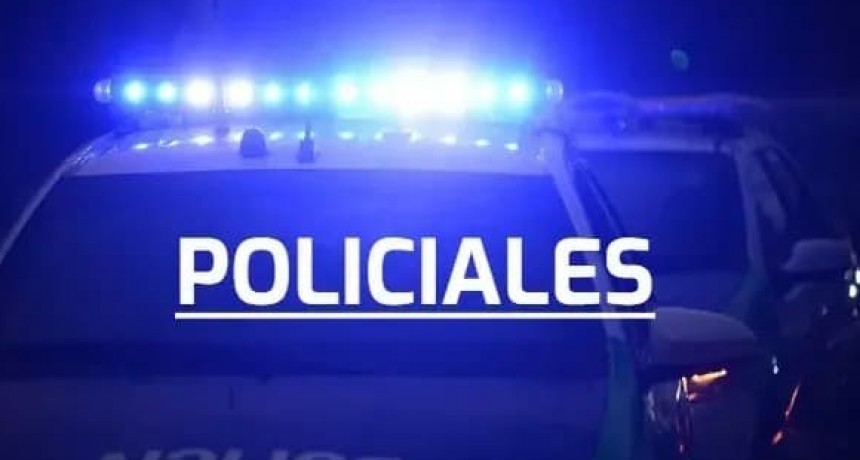 POLICIALES: ALLANAMIENTO POSITIVO POR ROBO