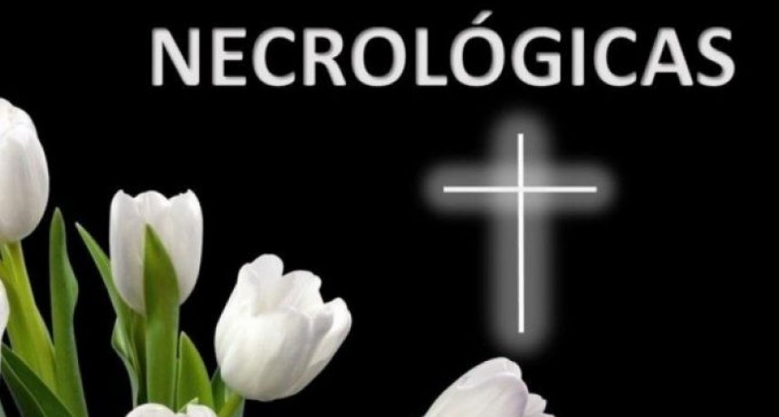 Ultimos servicios realizados en la ciudad