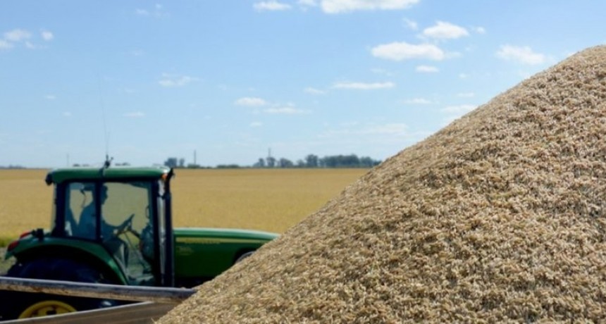 Econom&iacute;as Regionales: con retenciones cero la ecuaci&oacute;n empieza a cerrar en el Interior