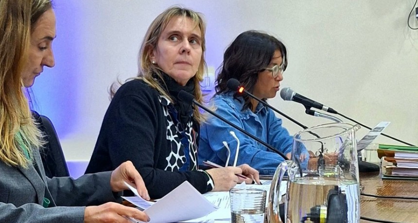 La presidenta del Concejo de Bah&iacute;a Blanca le rindi&oacute; cuentas a un troll por una compra y desat&oacute; un esc&aacute;ndalo