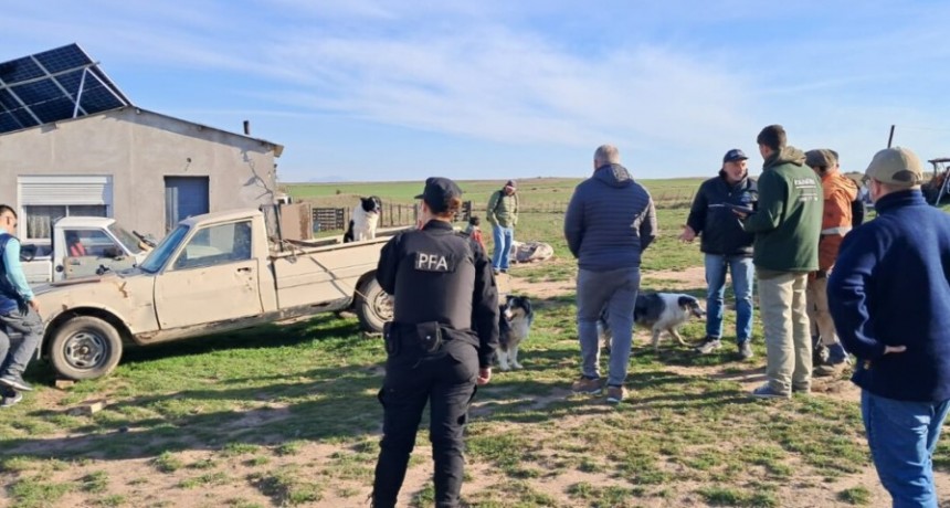 Hallan serias irregularidades laborales en un allanamiento en un campo bahiense