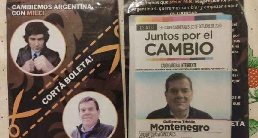 Sin Limites: Las seiscientas mil razones que unen a Guillermo Montenegro con Javier Milei