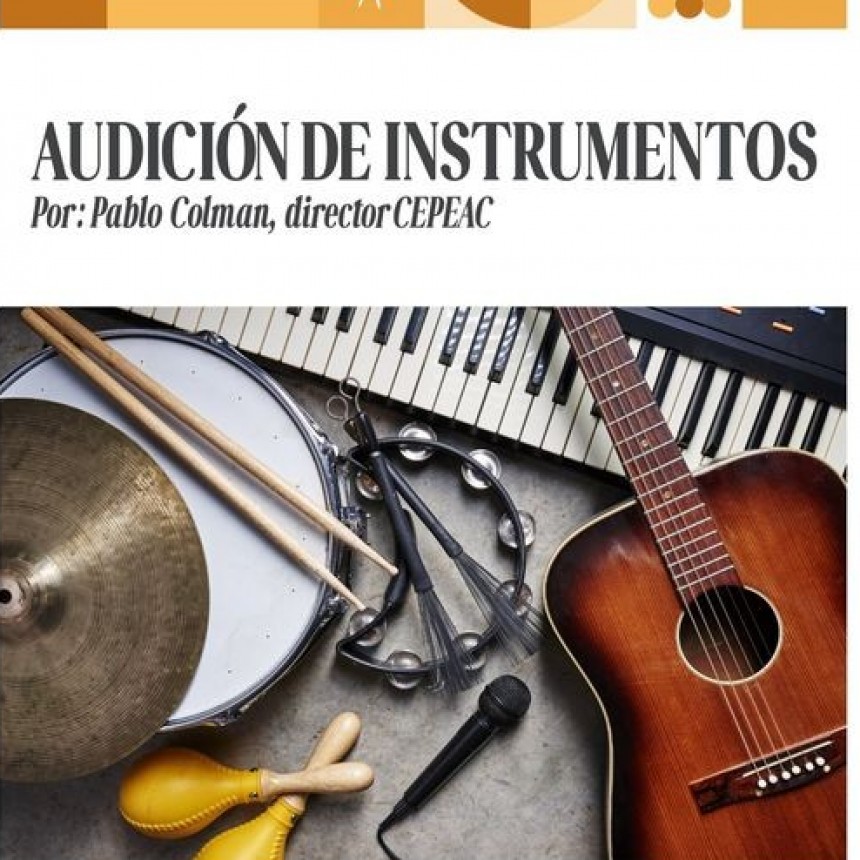 CEPEAC: AUDICI&Oacute;N DE INSTRUMENTOS