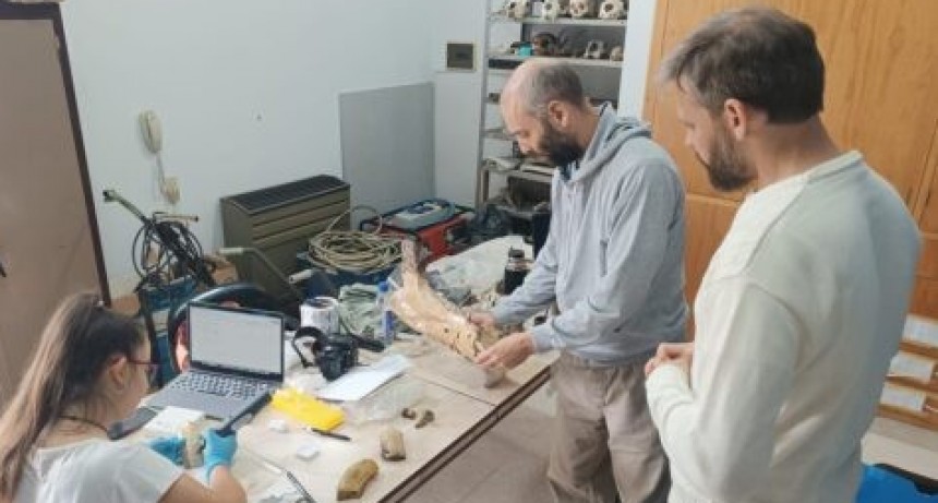 Nueva visita cient&iacute;fica extranjera al Museo Carlos Darwin