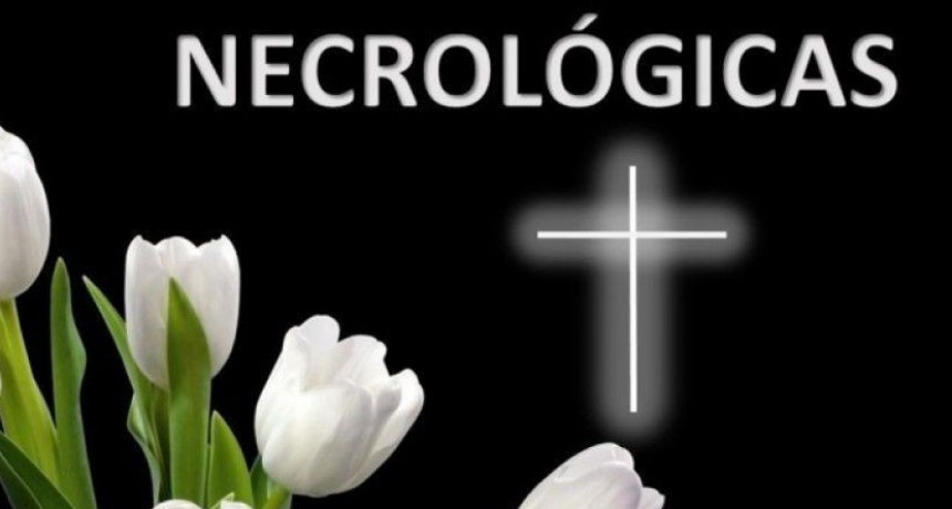 Ultimos servicios en la ciudad