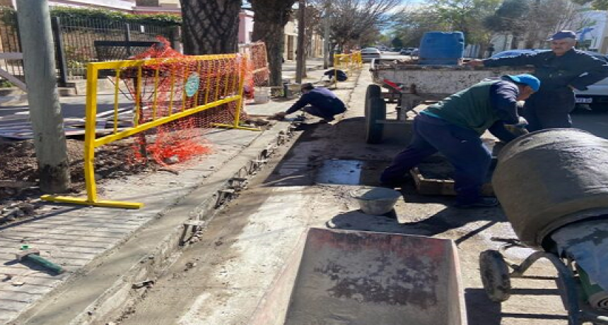 "Desaf&iacute;os en las Decisiones Pol&iacute;ticas Locales: La Encrucijada de Rosales"