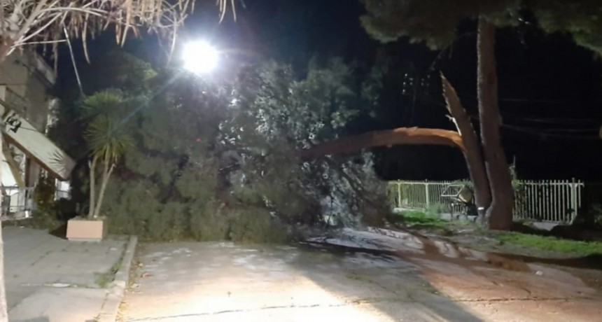  Importante labor luego de las tormentas del fin de semana