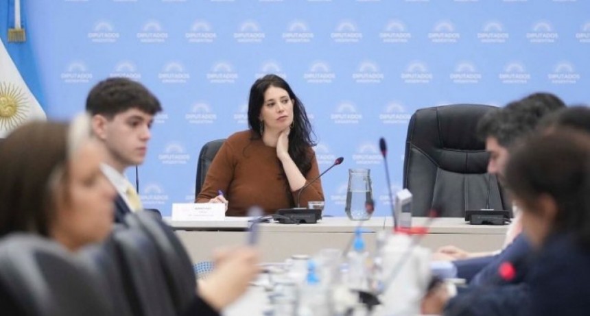 Una Diputada del PRO cobra 1,2 millones como adjunta de catedra y vot&oacute; en contra la Uni