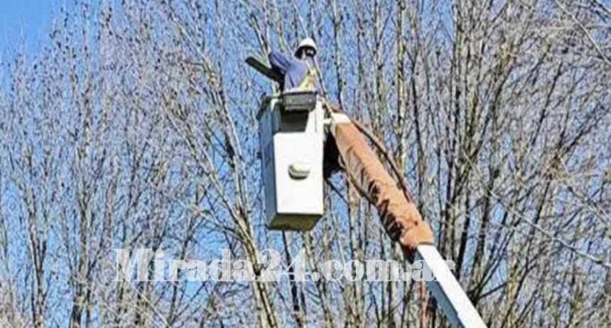 La Cepa Anuncia cortes de energia