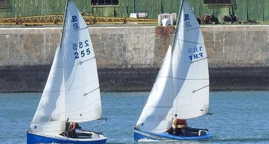 Regata Amerigo Vespucci desde Arroyo Parejas