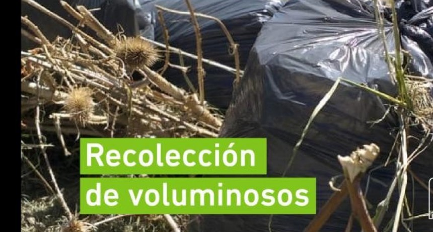 El lunes 6 inicia el cronograma de barrido y voluminosos del mes de noviembre 