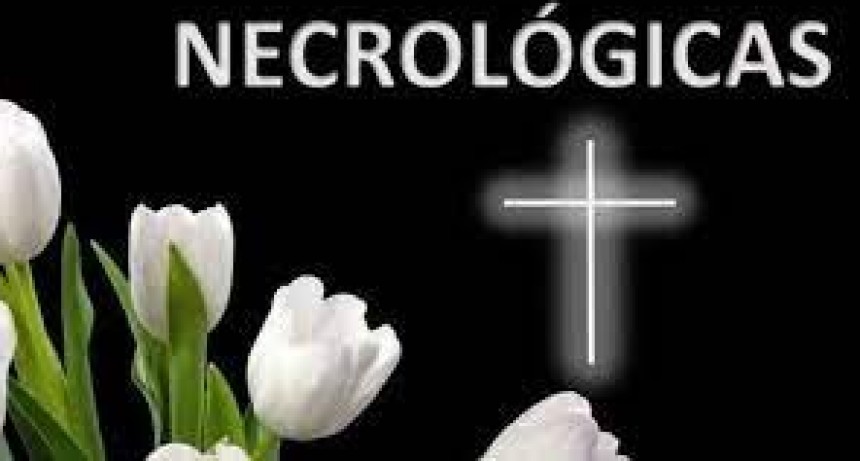 Ultimos servicios en la ciudad