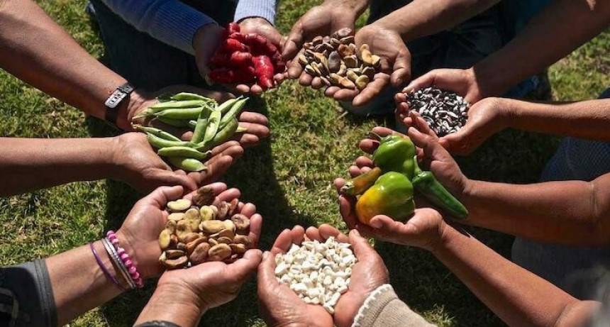 Sobre Soberania Alimentaria y Otras..