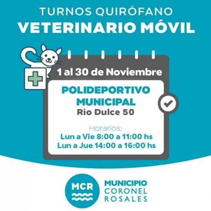 Quir&oacute;fano Veterinario M&oacute;vil: Polideportivo de Rio Dulce 50