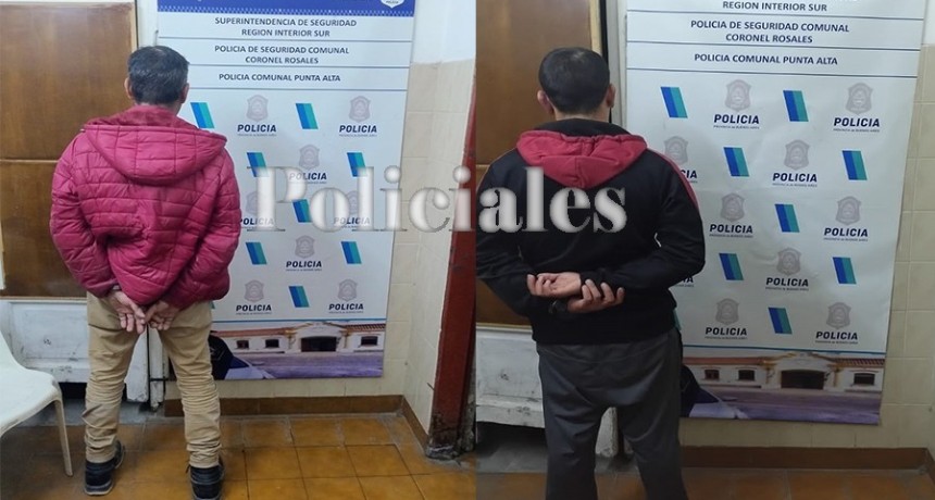 APREHENDIDOS POR VIOLENCIA DE GENERO