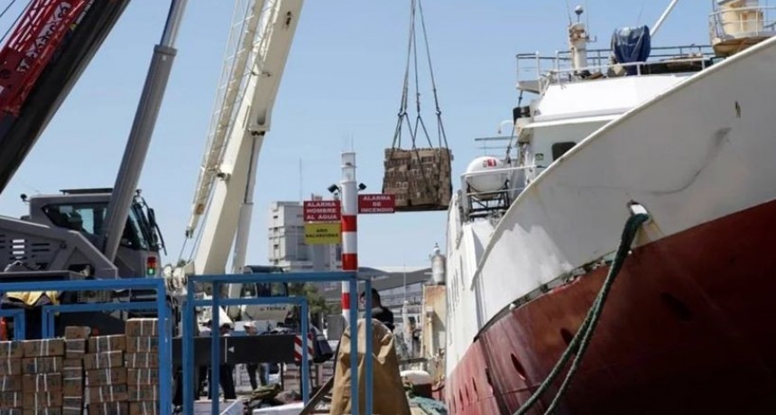 La actividad pesquera no para de crecer en los puertos de Bah&iacute;a y Rosales