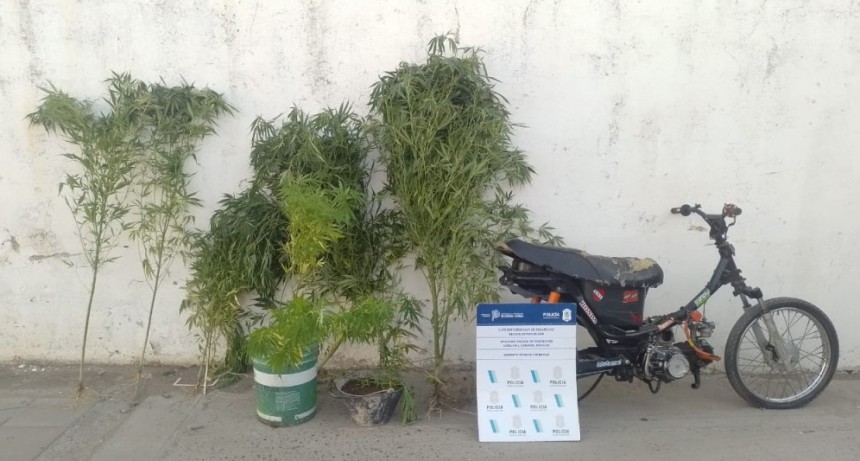 Detenido por encubrimiento