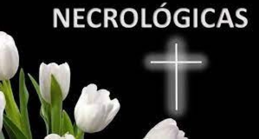 ULTIMOS SERVICIOS EN LA CIUDAD