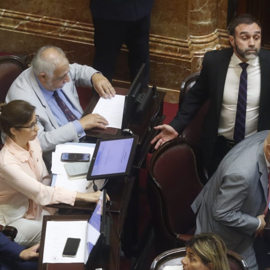 Acorralados libertarios votaron con el kirchnerismo y expulsaron a kueider del senado